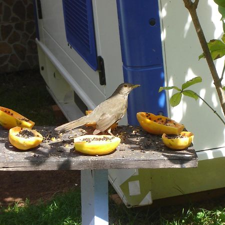 Pousada Pedacinho De Ceu Ilha Grande Exterior foto