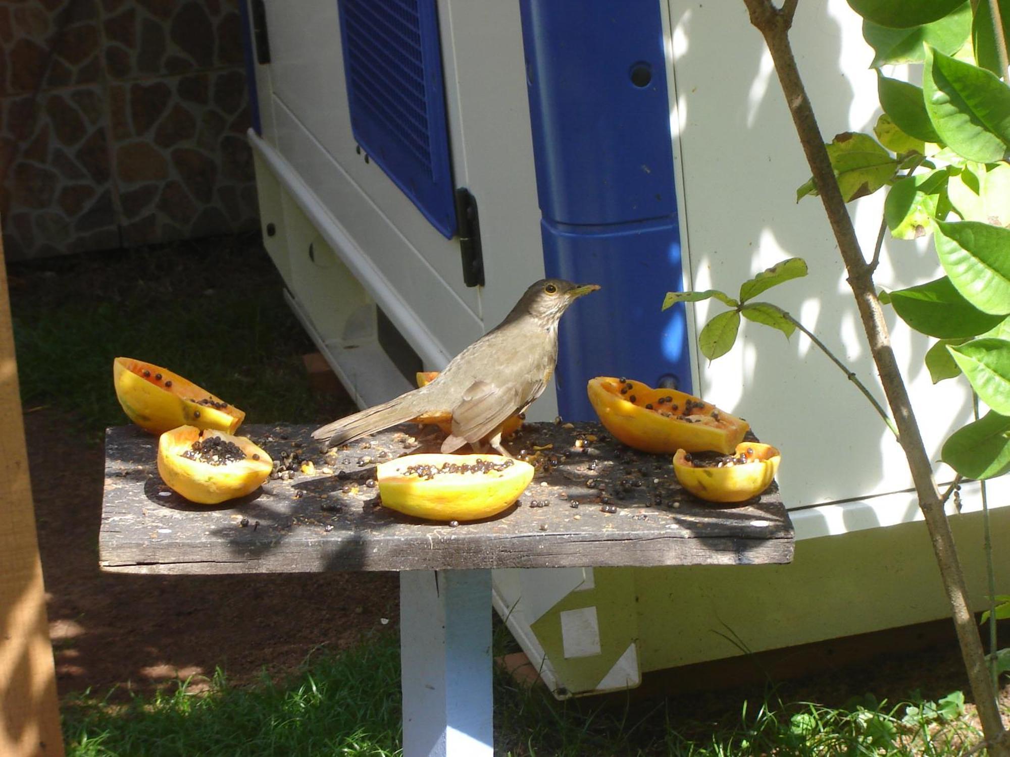 Pousada Pedacinho De Ceu Ilha Grande Exterior foto